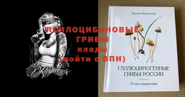 PSILOCYBIN Алексеевка