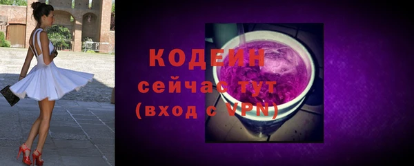 твердый Абаза