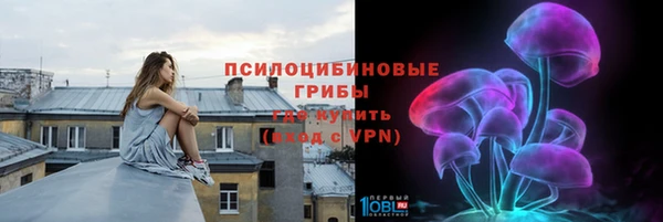 PSILOCYBIN Алексеевка
