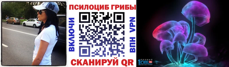 omg зеркало  где можно купить   Лиски  Псилоцибиновые грибы GOLDEN TEACHER 